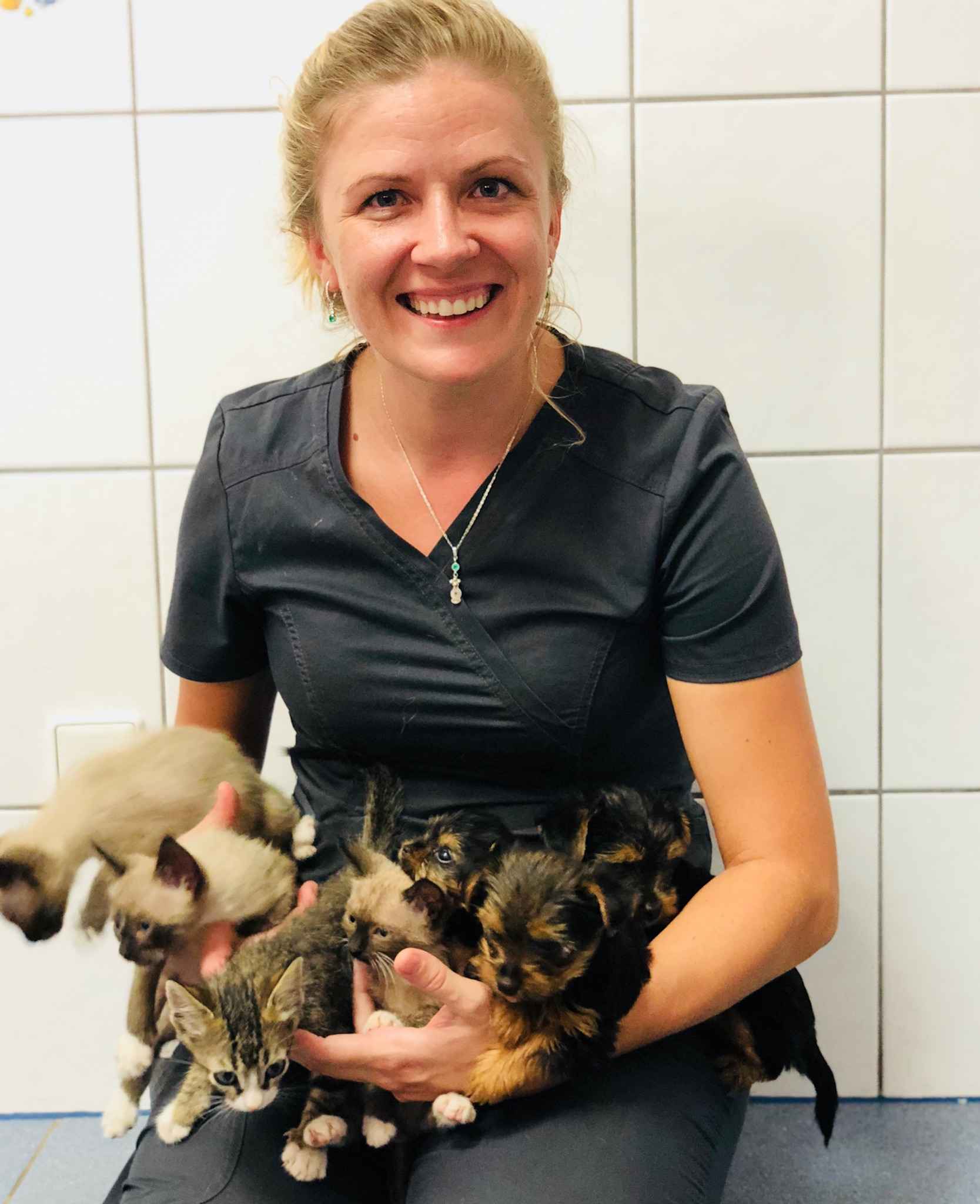 Image Title My Image