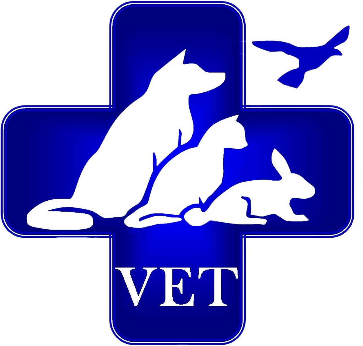 Image Title My Image