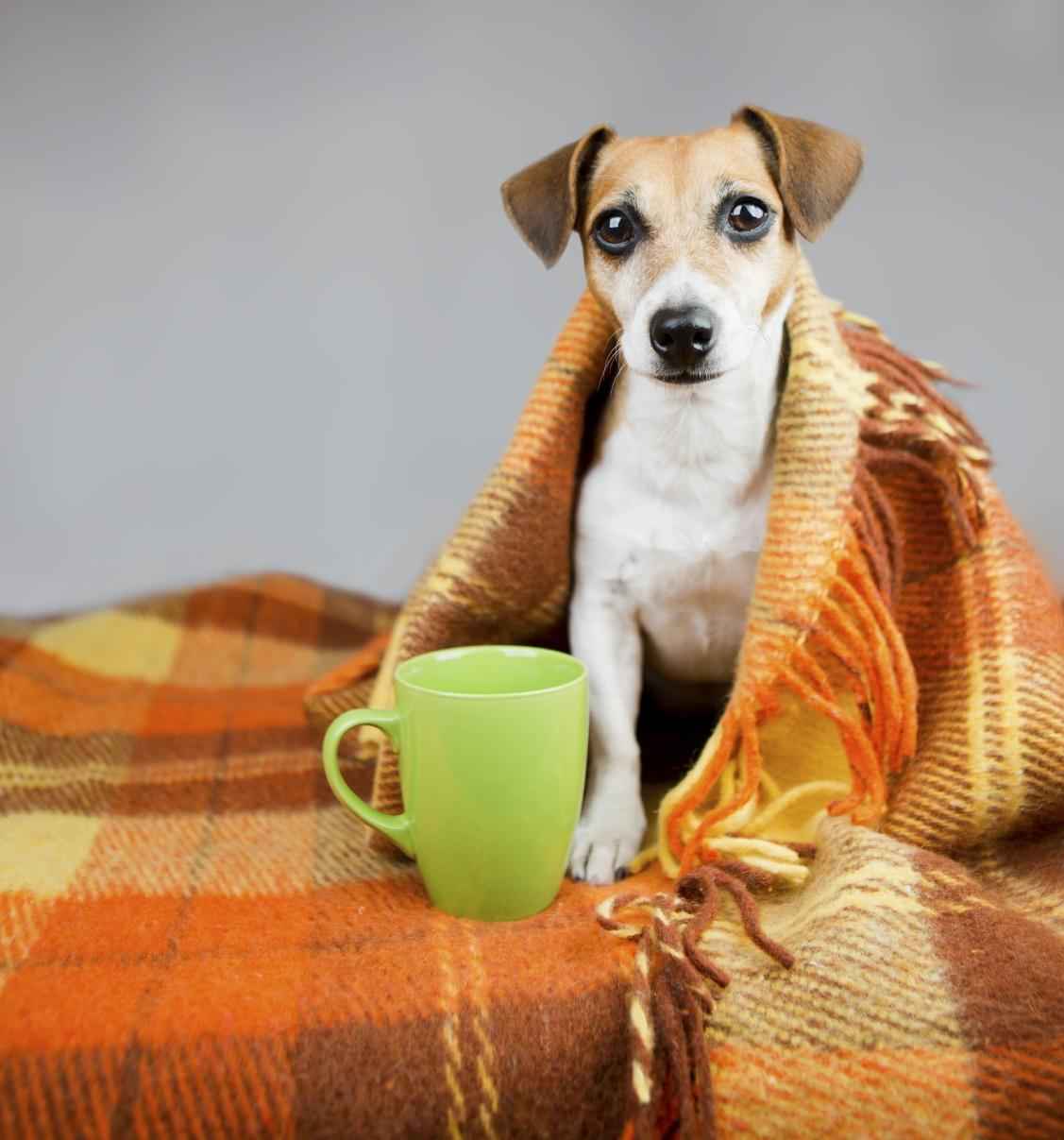 Image Title My Image