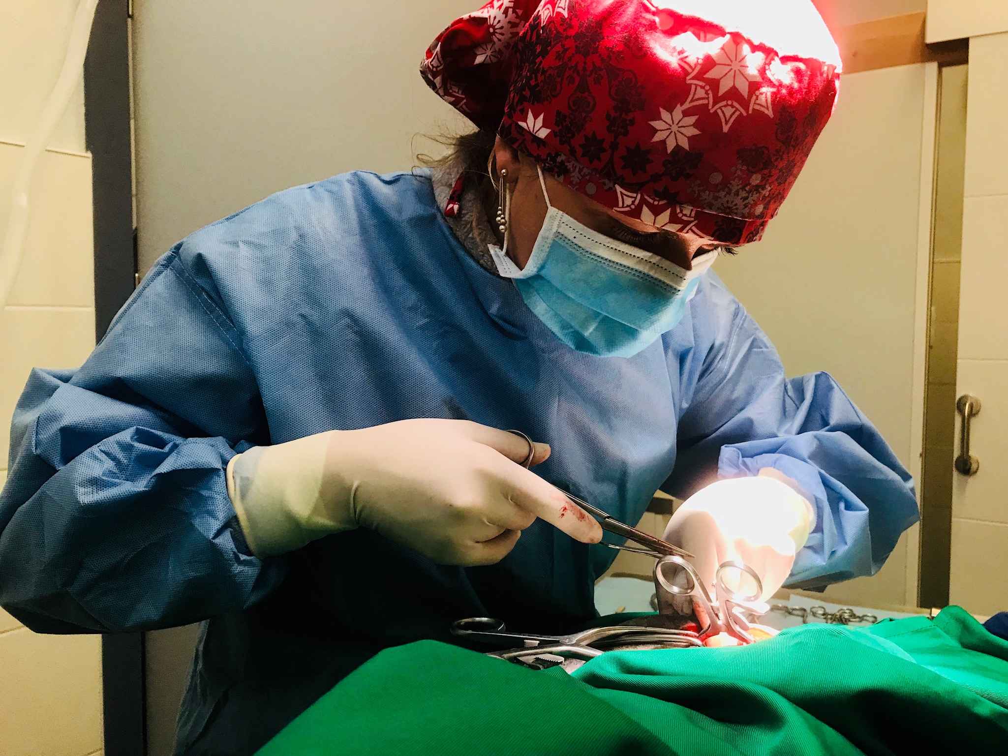 Image Title My Image