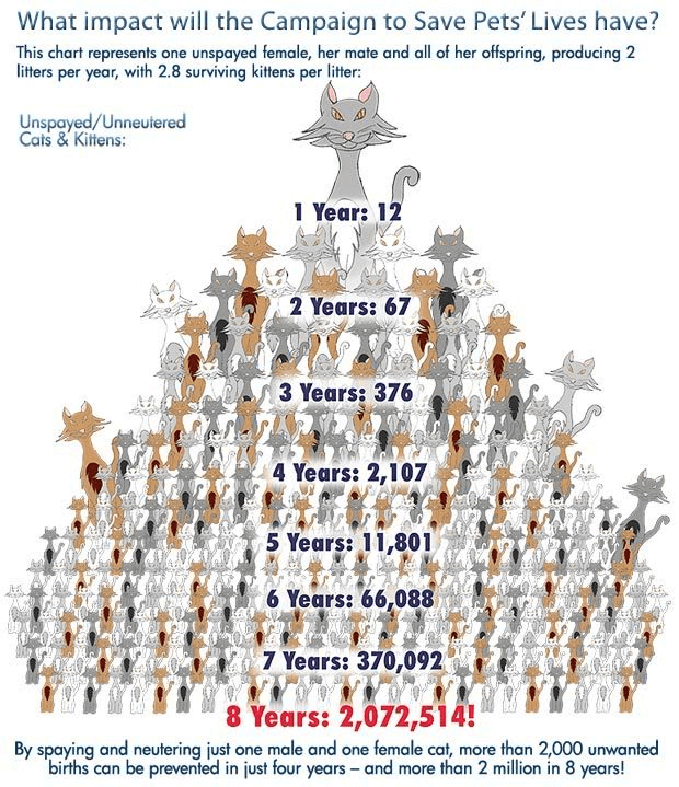 Image Title My Image