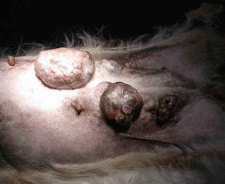 Image Title My Image