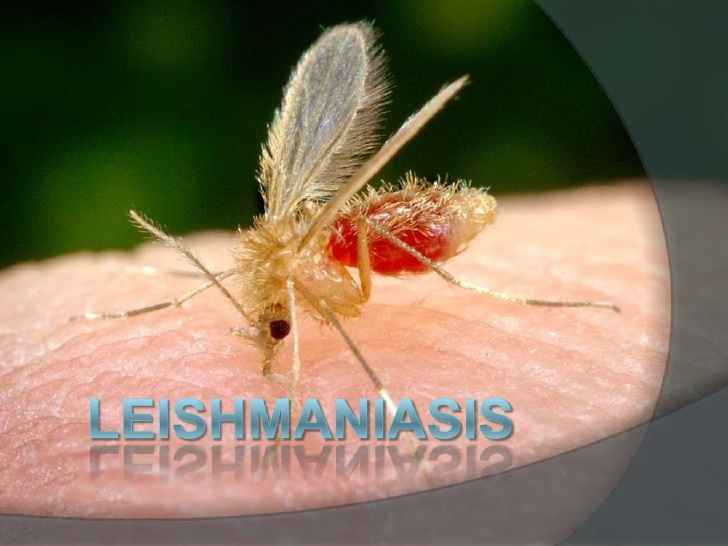 Image Title My Image