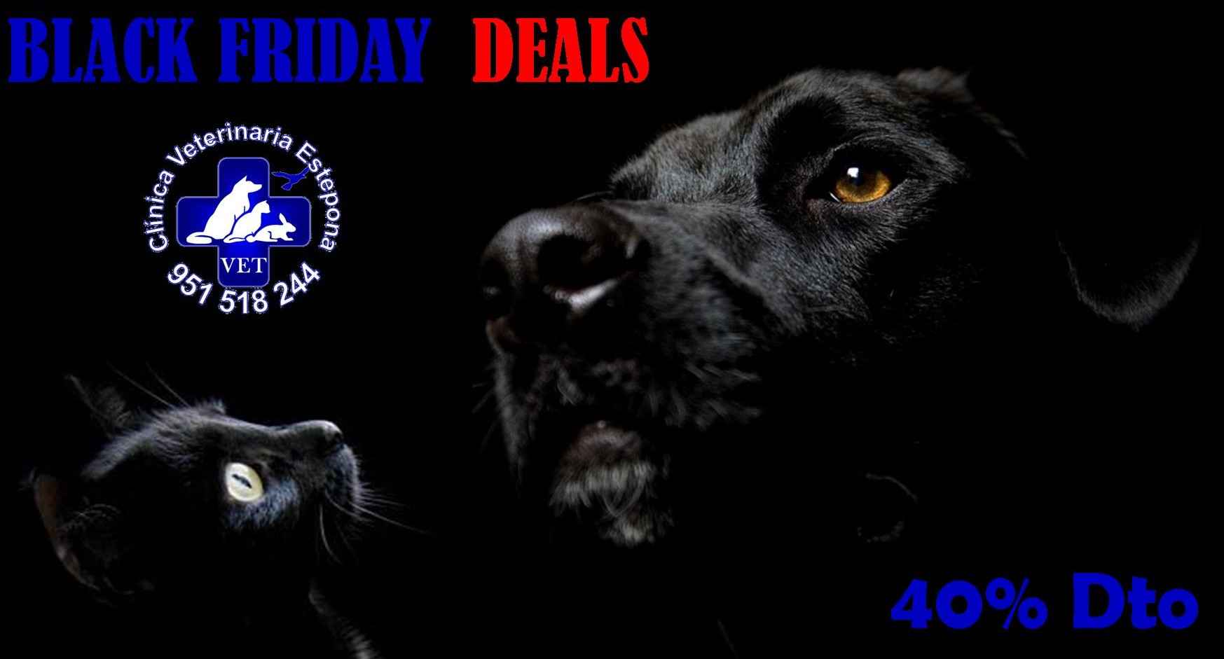 Image Title My Image