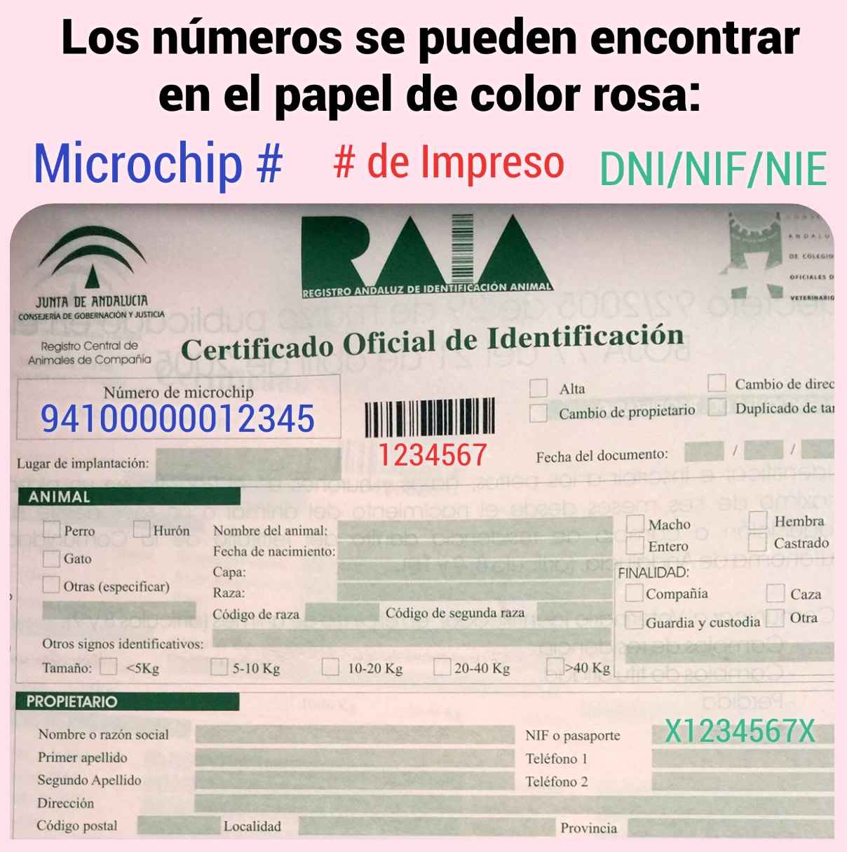 Image Title My Image