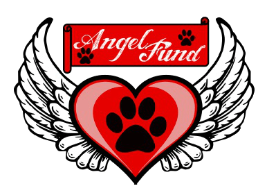 Image Title My Image