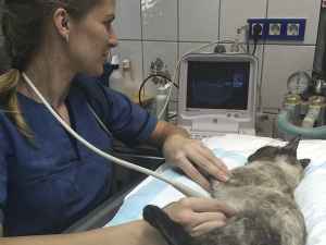 Image Title My Image