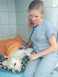 Image Title My Image