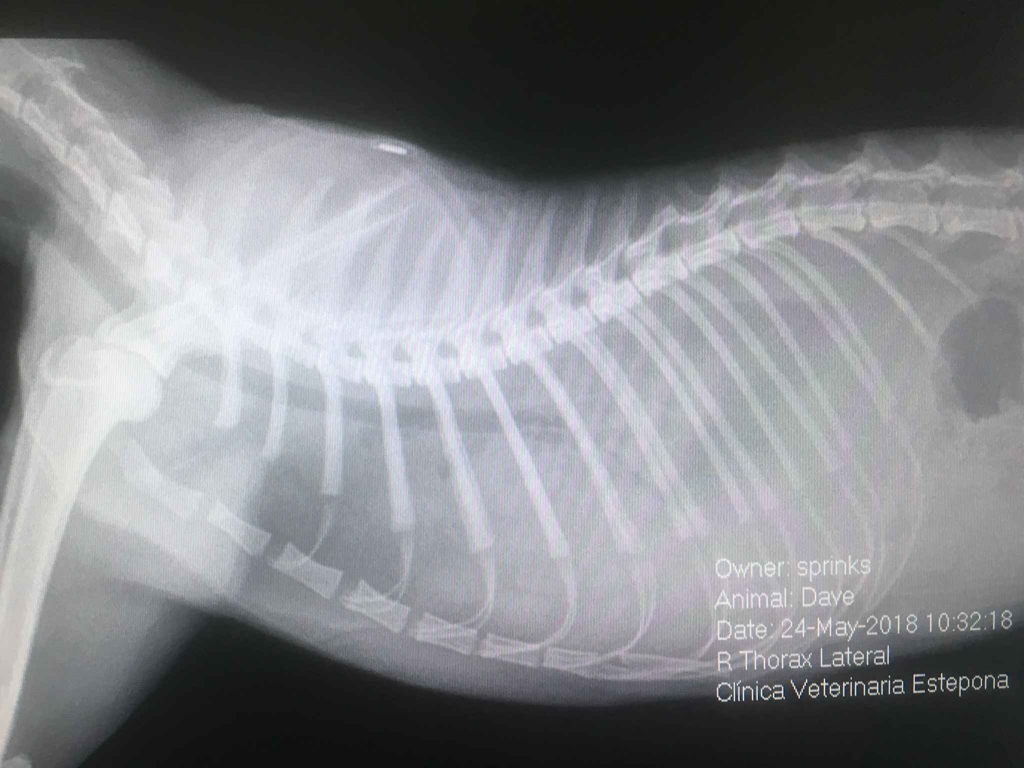 Image Title My Image