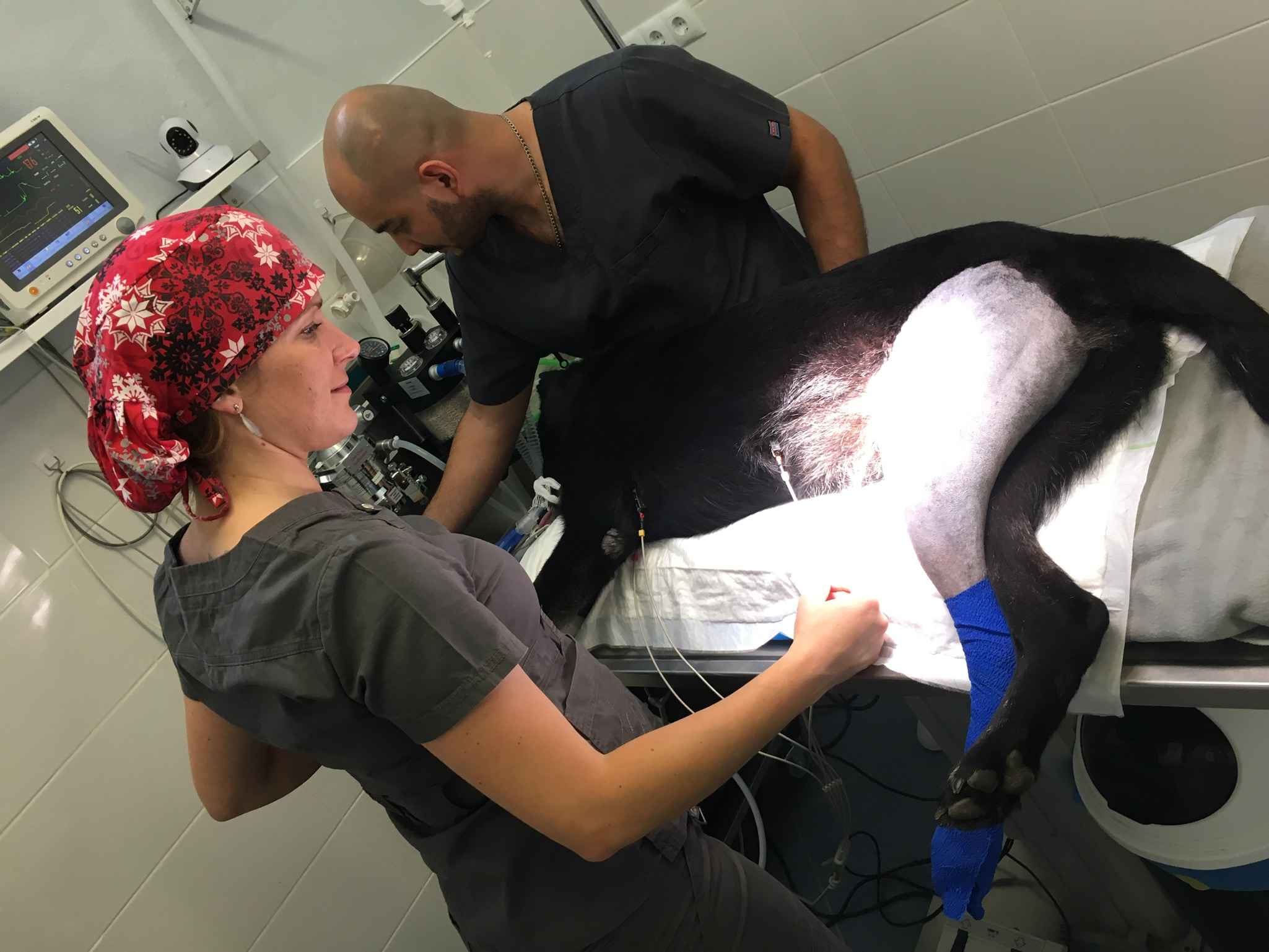 Image Title My Image