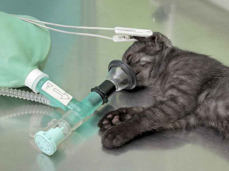 Image Title My Image