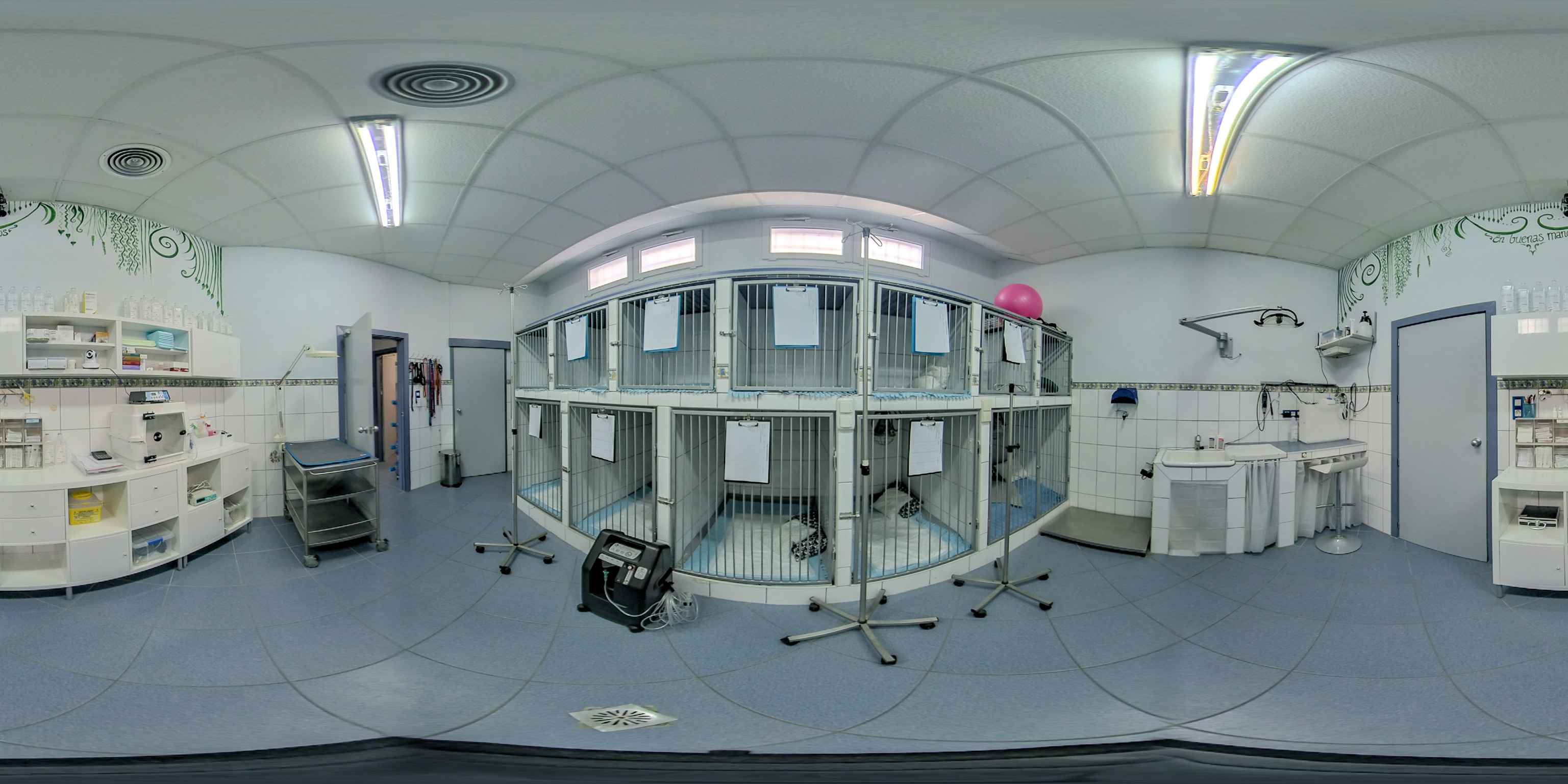 Image Title My Image