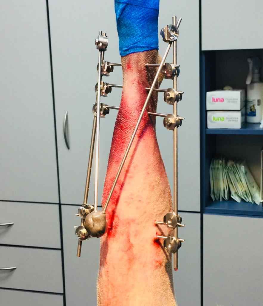 Image Title My Image