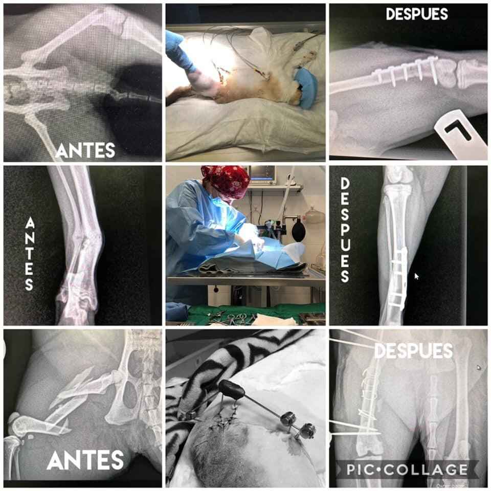 Image Title My Image