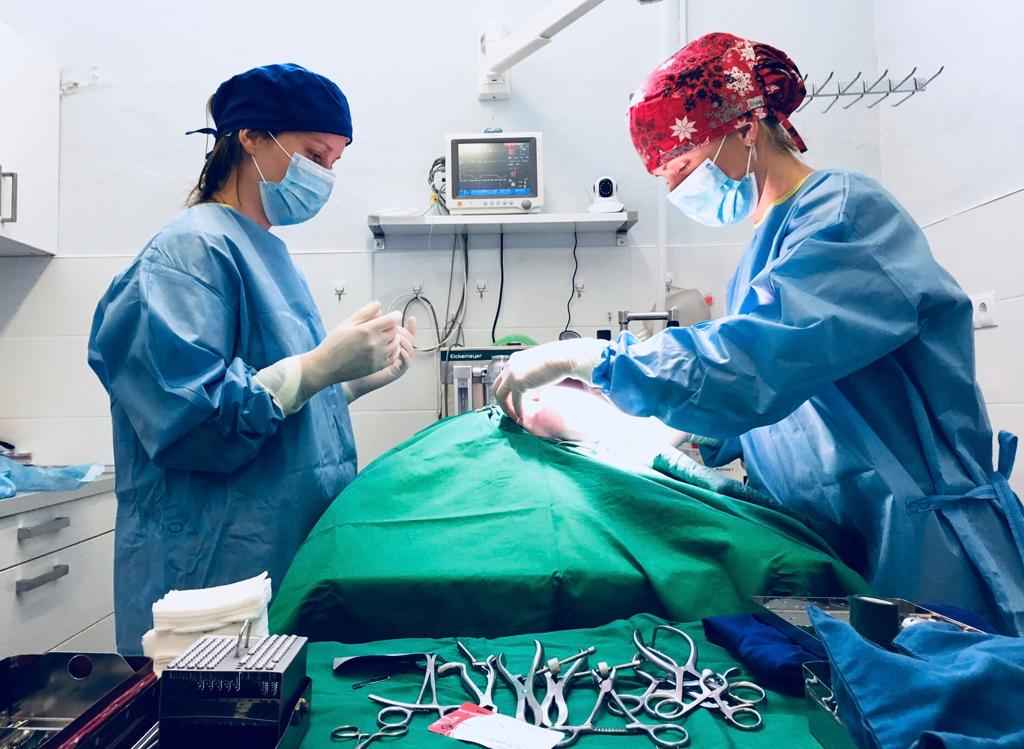 Image Title My Image