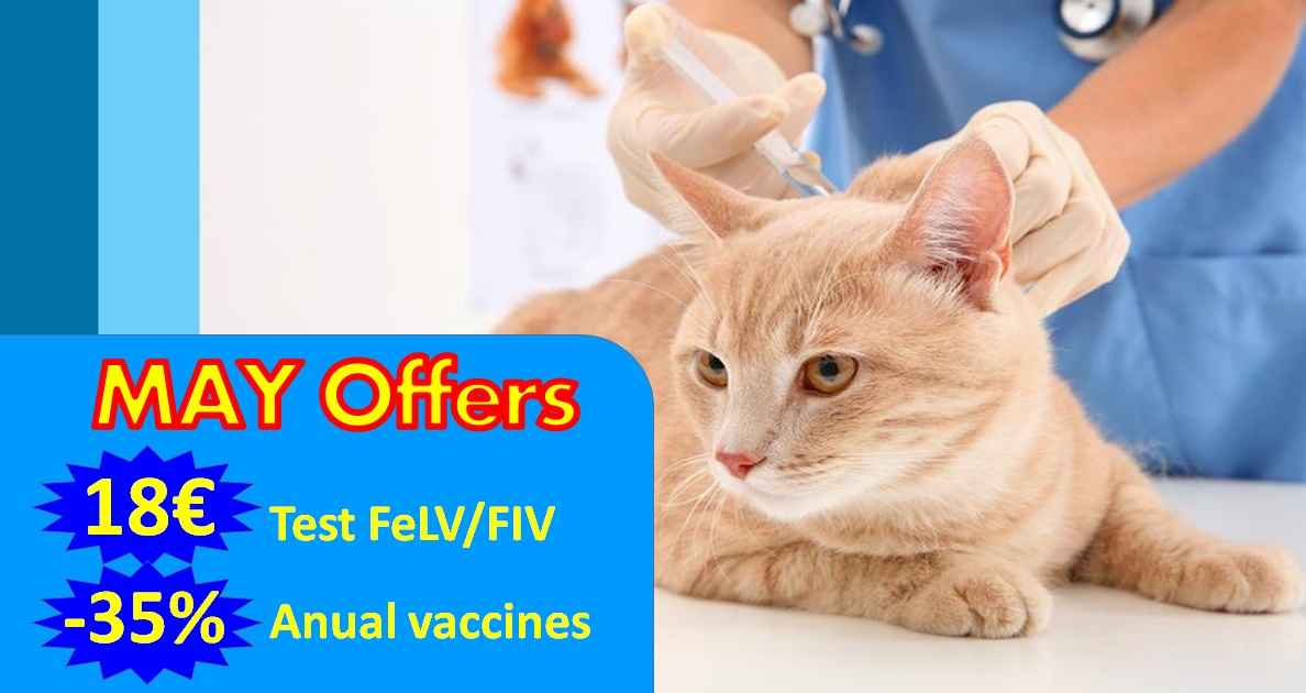 Image Title My Image